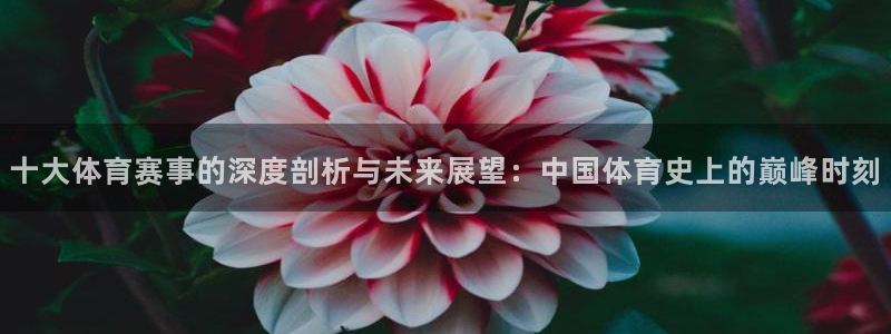 十大体育赛事的深度剖析与未来展望：中国体育史上的巅峰时刻