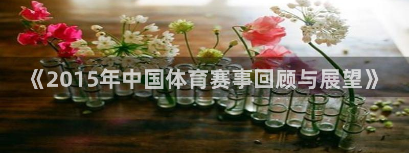 《2015年中国体育赛事回顾与展望》