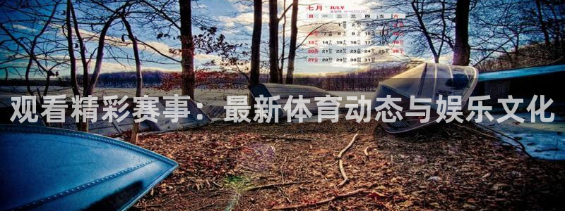 观看精彩赛事：最新体育动态与娱乐文化