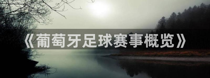 《葡萄牙足球赛事概览》