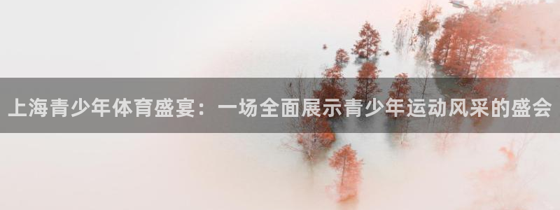 上海青少年体育盛宴：一场全面展示青少年运动风采的盛会
