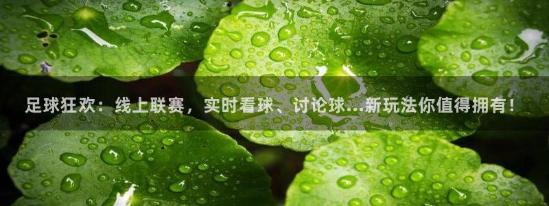 足球狂欢：线上联赛，实时看球、讨论球...新玩法你值得拥有！