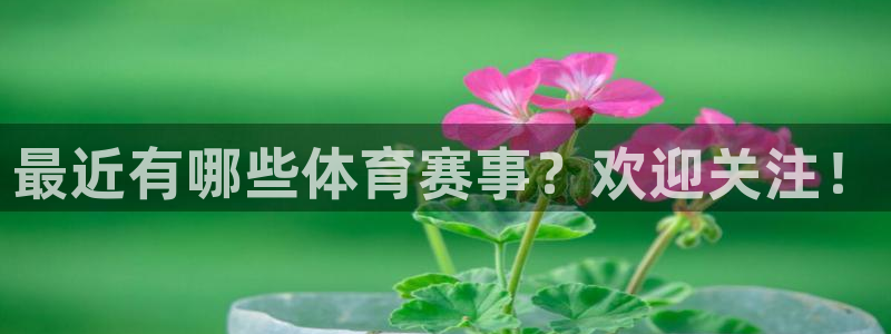 最近有哪些体育赛事？欢迎关注！