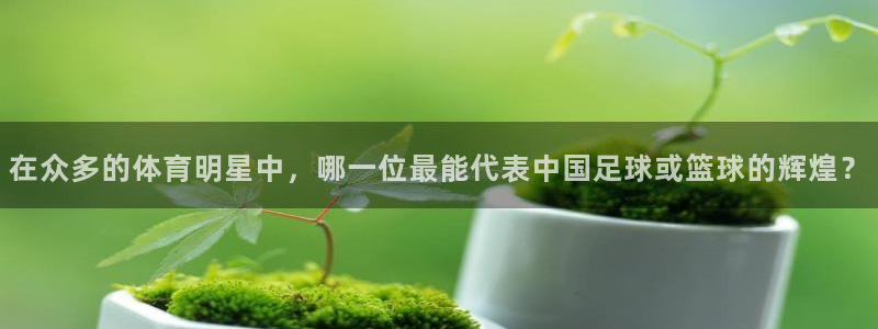在众多的体育明星中，哪一位最能代表中国足球或篮球的辉煌？