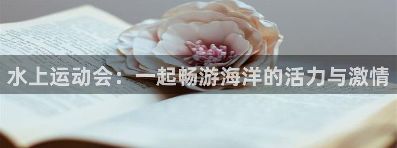 水上运动会：一起畅游海洋的活力与激情