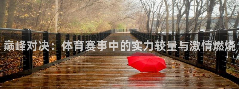 巅峰对决：体育赛事中的实力较量与激情燃烧