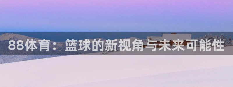88体育：篮球的新视角与未来可能性