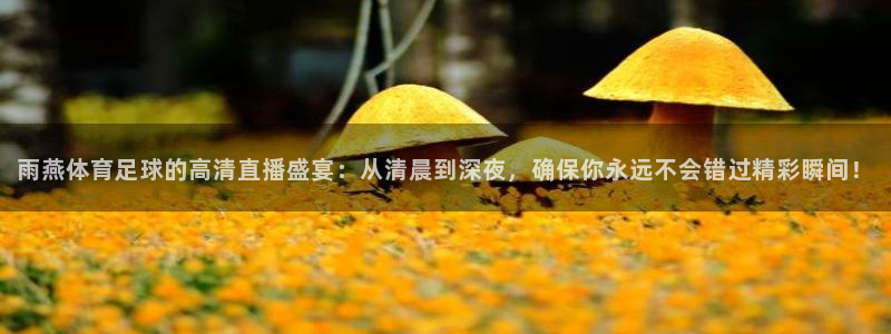 雨燕体育足球的高清直播盛宴：从清晨到深夜，确保你永远不会错过精彩瞬间！