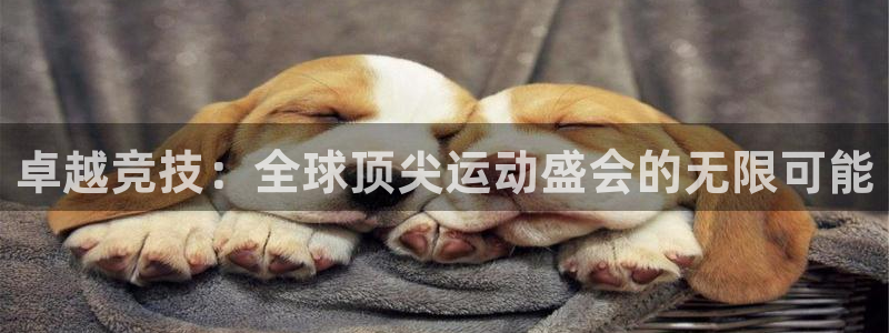 卓越竞技：全球顶尖运动盛会的无限可能