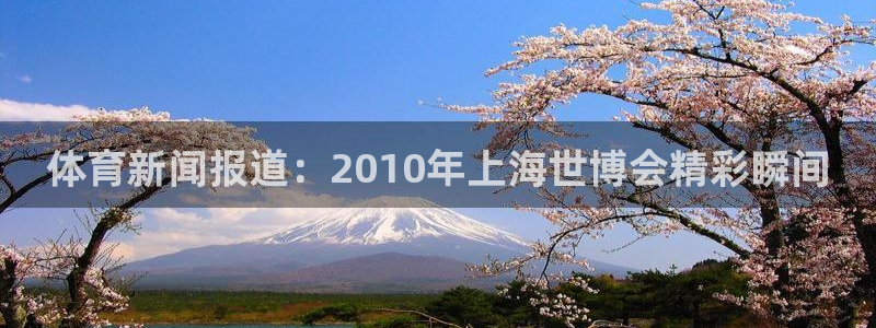 体育新闻报道：2010年上海世博会精彩瞬间