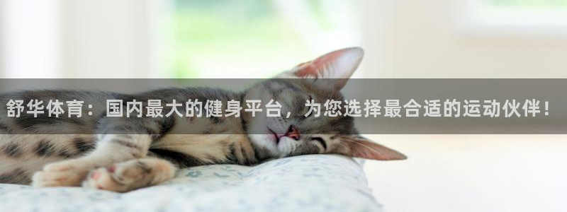 舒华体育：国内最大的健身平台，为您选择最合适的运动伙伴！