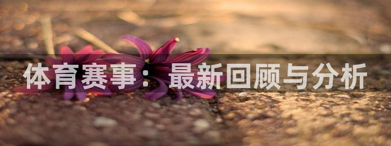 体育赛事：最新回顾与分析