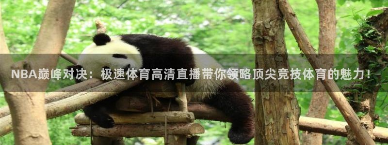 NBA巅峰对决：极速体育高清直播带你领略顶尖竞技体育的魅力！