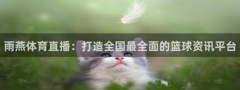 雨燕体育直播：打造全国最全面的篮球资讯平台