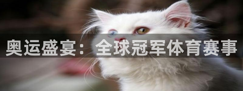 奥运盛宴：全球冠军体育赛事