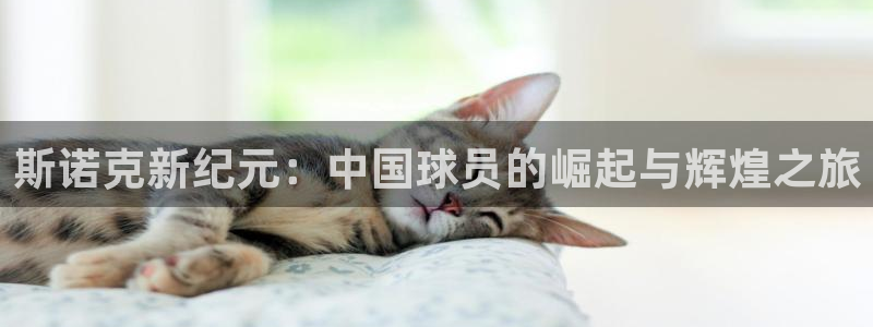 斯诺克新纪元：中国球员的崛起与辉煌之旅