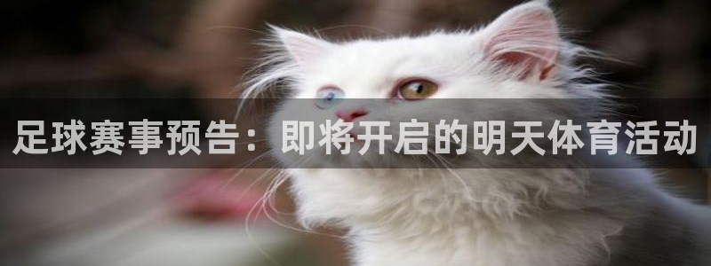 足球赛事预告：即将开启的明天体育活动