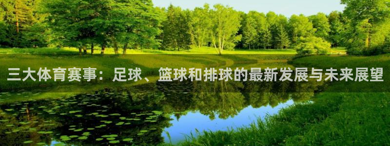 三大体育赛事：足球、篮球和排球的最新发展与未来展望