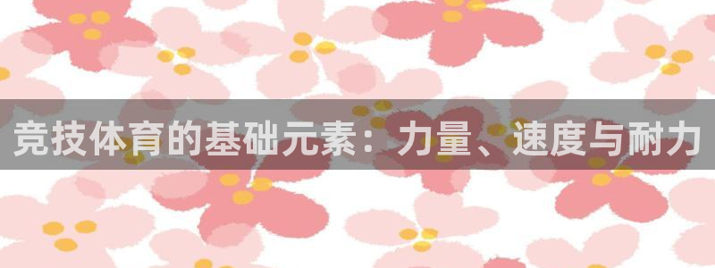 竞技体育的基础元素：力量、速度与耐力