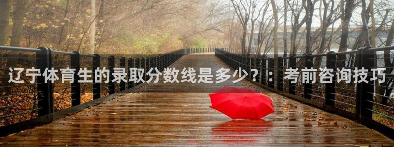 辽宁体育生的录取分数线是多少？：考前咨询技巧