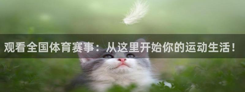 观看全国体育赛事：从这里开始你的运动生活！