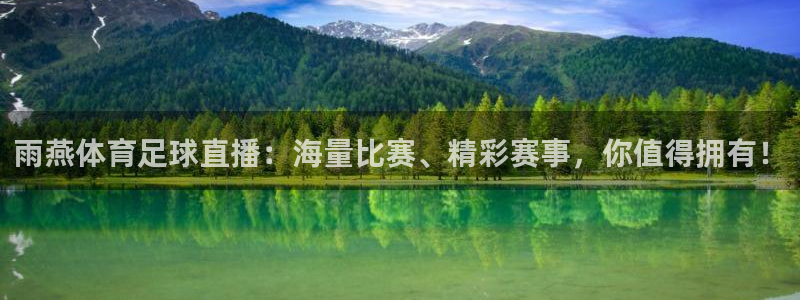 雨燕体育足球直播：海量比赛、精彩赛事，你值得拥有！