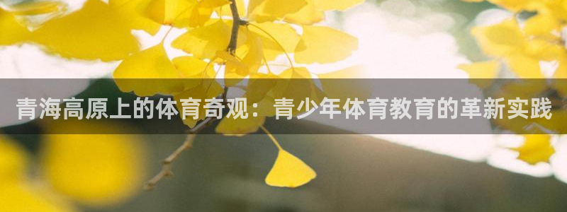 青海高原上的体育奇观：青少年体育教育的革新实践