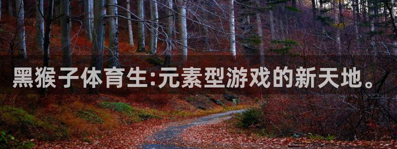 黑猴子体育生:元素型游戏的新天地。