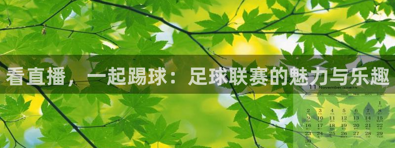 看直播，一起踢球：足球联赛的魅力与乐趣