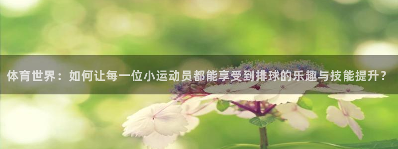 体育世界：如何让每一位小运动员都能享受到排球的乐趣与技能提升？