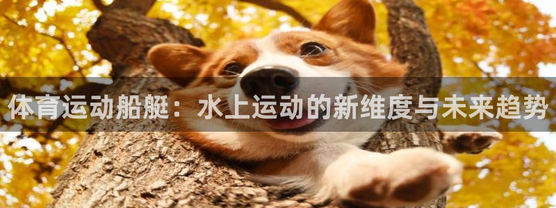 体育运动船艇：水上运动的新维度与未来趋势
