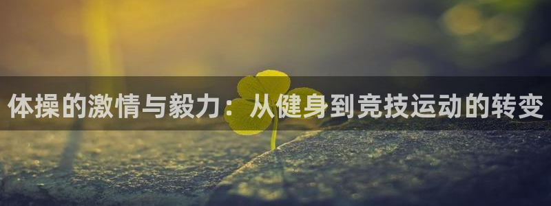 体操的激情与毅力：从健身到竞技运动的转变