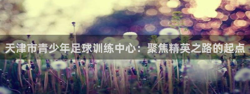 天津市青少年足球训练中心：聚焦精英之路的起点