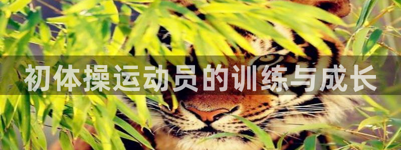 初体操运动员的训练与成长