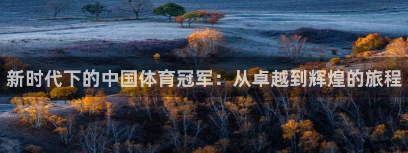 新时代下的中国体育冠军：从卓越到辉煌的旅程