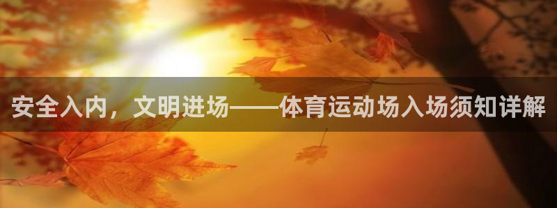 安全入内，文明进场——体育运动场入场须知详解