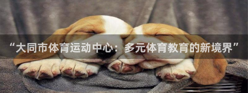 “大同市体育运动中心：多元体育教育的新境界”