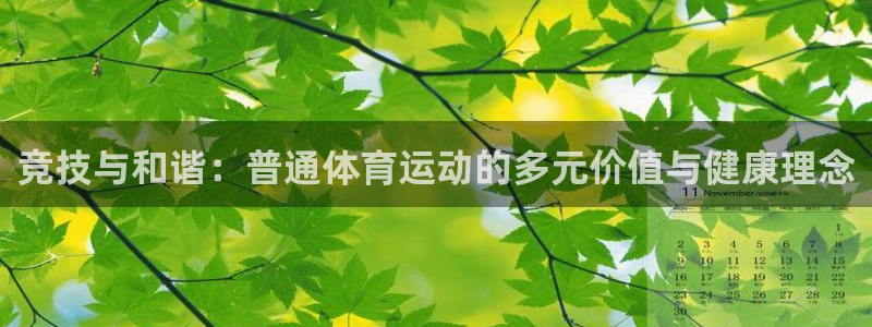 竞技与和谐：普通体育运动的多元价值与健康理念