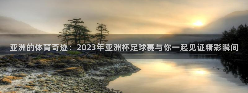 亚洲的体育奇迹：2023年亚洲杯足球赛与你一起见证精彩瞬间
