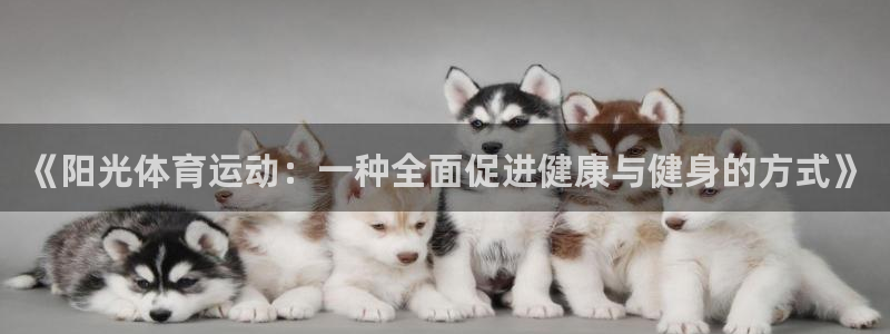 《阳光体育运动：一种全面促进健康与健身的方式》