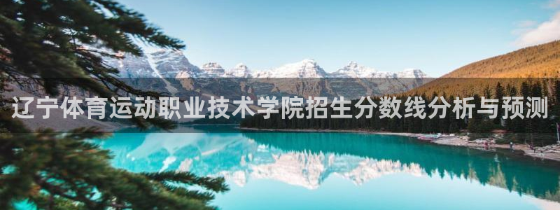 辽宁体育运动职业技术学院招生分数线分析与预测