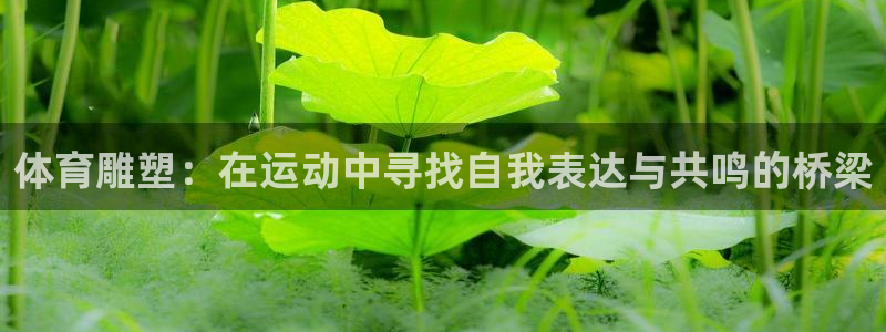 体育雕塑：在运动中寻找自我表达与共鸣的桥梁