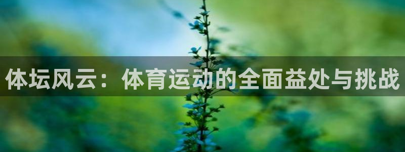 体坛风云：体育运动的全面益处与挑战