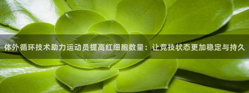 体外循环技术助力运动员提高红细胞数量：让竞技状态更加稳定与持久