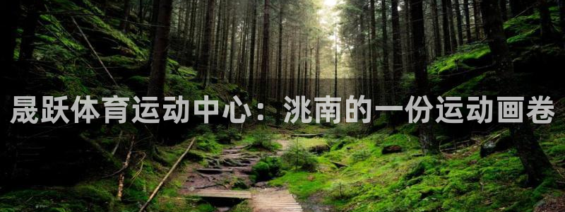 晟跃体育运动中心：洮南的一份运动画卷