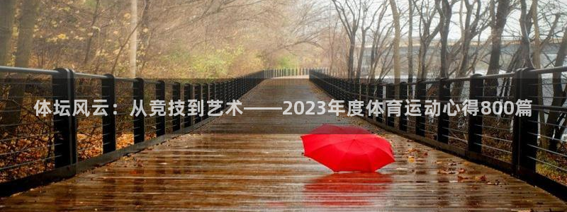 体坛风云：从竞技到艺术——2023年度体育运动心得800篇
