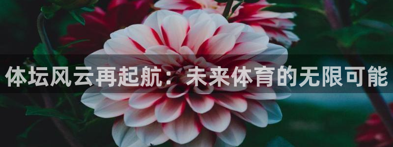 体坛风云再起航：未来体育的无限可能