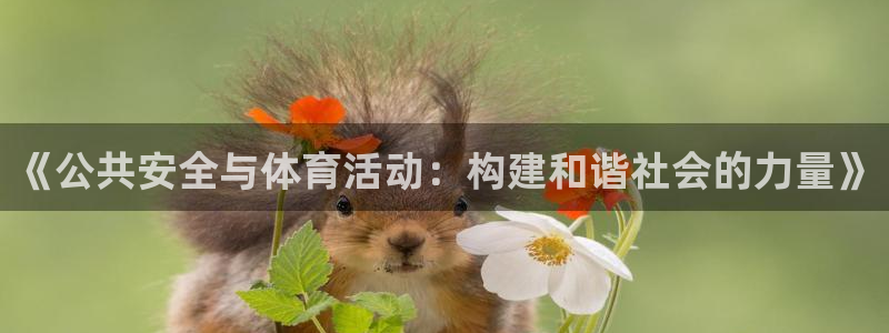 《公共安全与体育活动：构建和谐社会的力量》