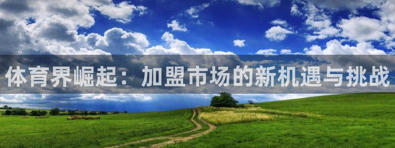 体育界崛起：加盟市场的新机遇与挑战