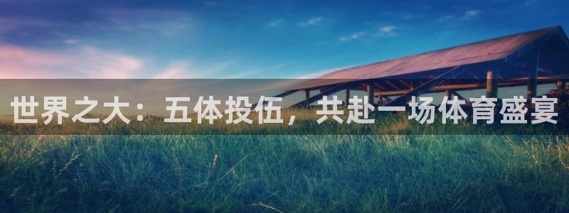 世界之大：五体投伍，共赴一场体育盛宴